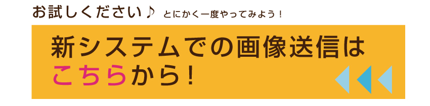 �V�V�X�e���͂�����